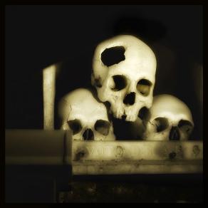 SKULLS 25 - Augusto De Luca photographer