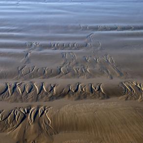 Sea prints in the sand