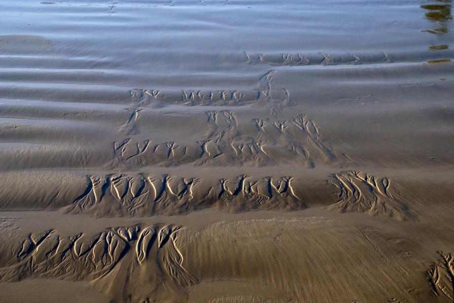 Sea prints in the sand