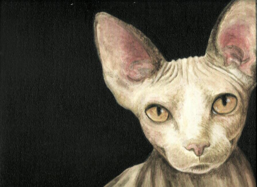 Sphynx