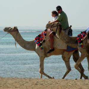 Egypt. Luxor and Marsa Alam