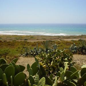 SICILY "EN PLEIN AIR" 2013, Landscape Painting Workshop