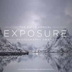  Fifth Annual Exposure Award- Musee du Louvre- 2015