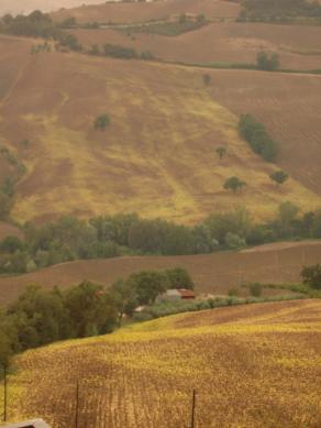 paesaggio marchigiano