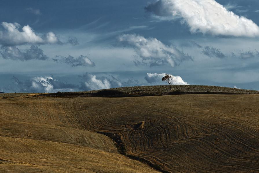 Terra e Cielo