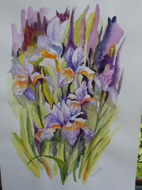 IRIS