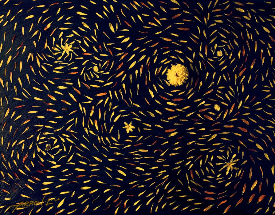 starry night