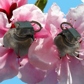 Aspettando che scoppi la primavera...