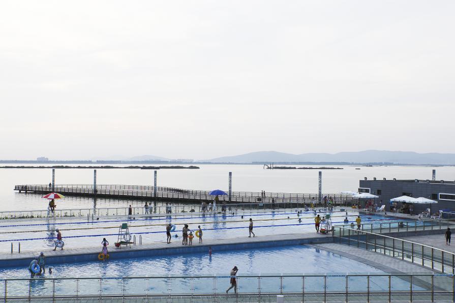 Swimming Pool, from series of Very Good, Very Good