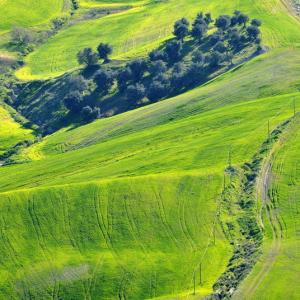 Italy. Basilicata & Campania. Dropouts and rediscovered