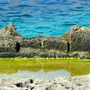 Italy. Sicily, Trapani blue salt