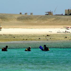 Egypt. Luxor and Marsa Alam