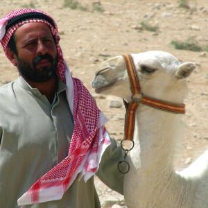 Syria. Men and stories of stone