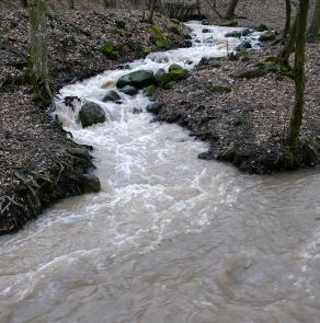 Flow in Visegrád 2