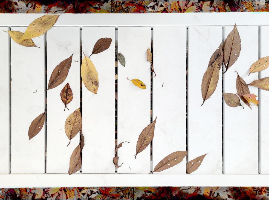 bronze leaves on a bench