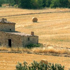 Italy. Basilicata. Potenza (2)