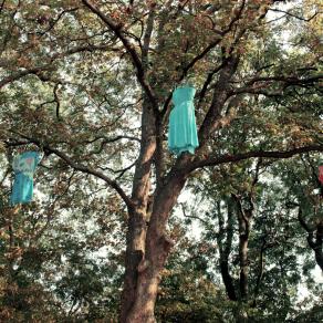 Dresses in the trees