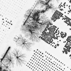 Trees and Dots