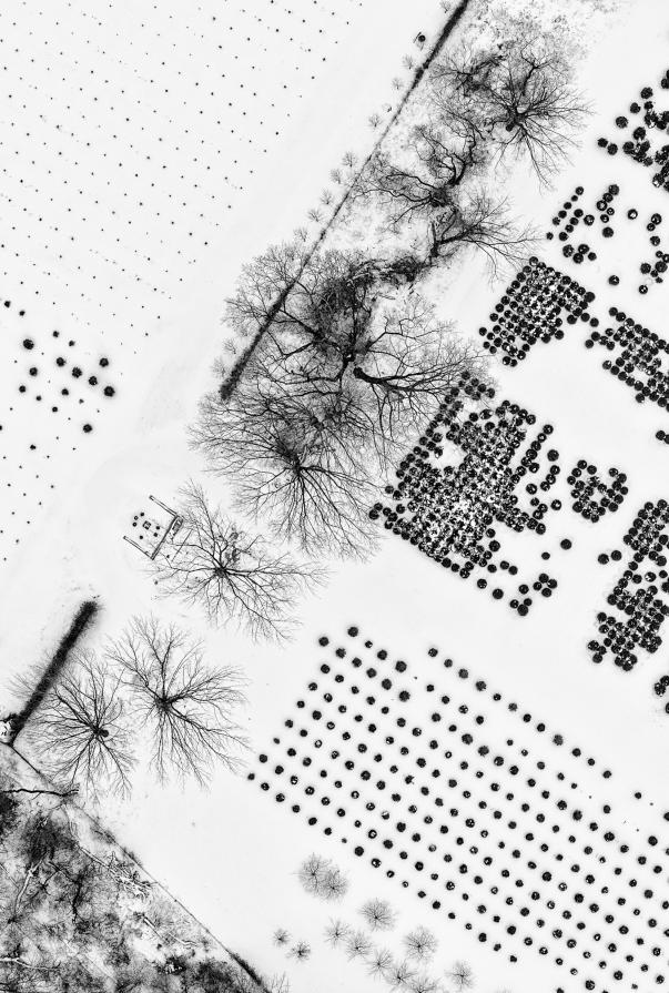 Trees and Dots