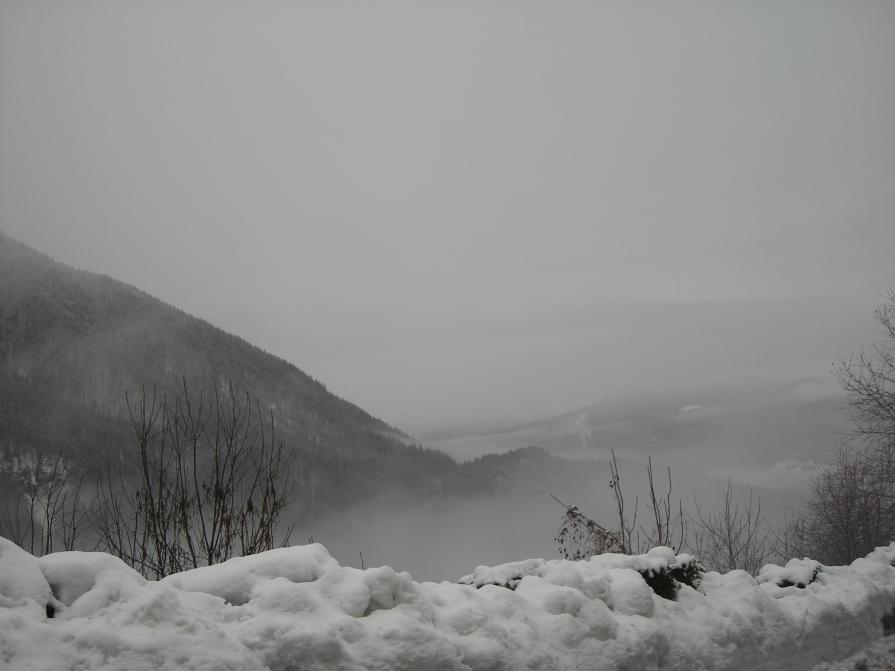 Neve A Ravascletto - Panorama 