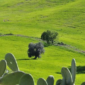 Italy. Basilicata & Campania. Dropouts and rediscovered