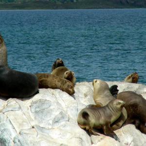 Argentina, Patagonia