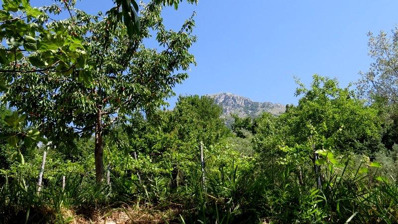 Eco and Arte  (rifugio di artiste)