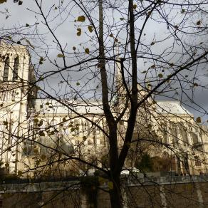 December Notre Dame