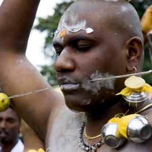 Thaipusam Festival