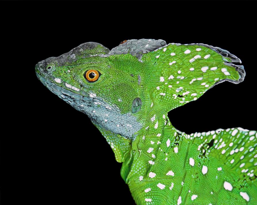 "BASILISCUS"