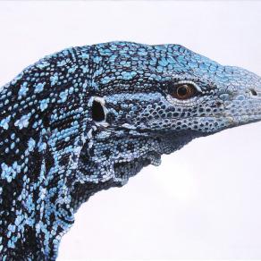 "VARANUS MACRAEI"