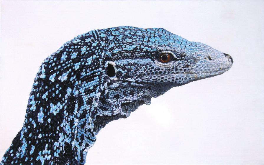 "VARANUS MACRAEI"