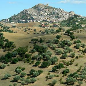 Italy. Sicily, Enna colors of summer