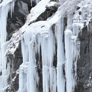 Italy. Val d'Aosta. White and his reflexes