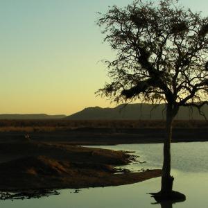 South Africa. Un/natural colors