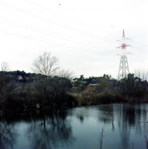 Untitled (Lonely rivers flow to the sea)