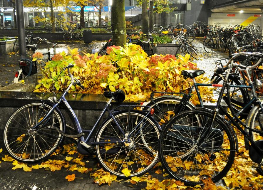 Autumn and Bikes