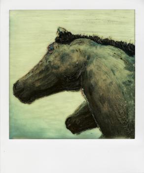 Horses 1