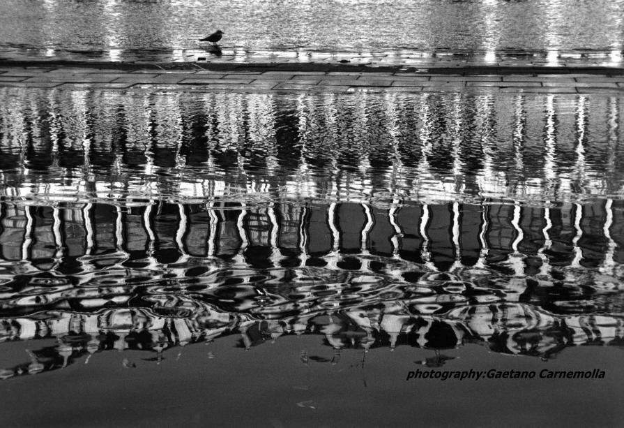 riflessi a piazza s.marco