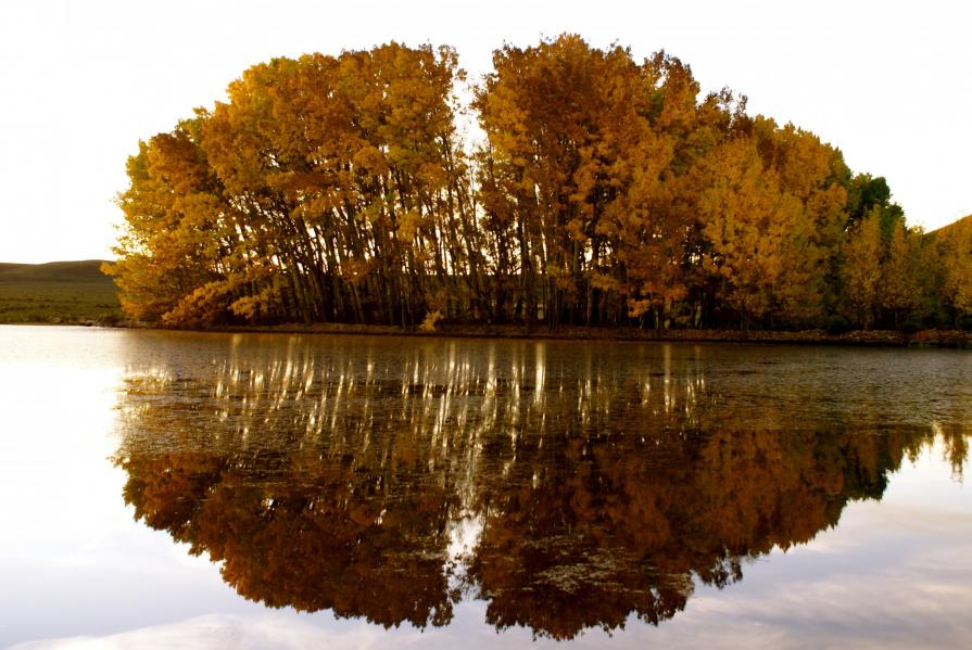 Water reflection