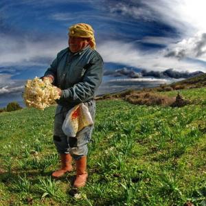 Summer Photo School at Aegean