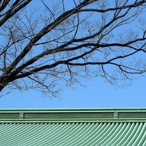 Japan. Tokyo lines / skyline