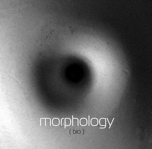 morphology