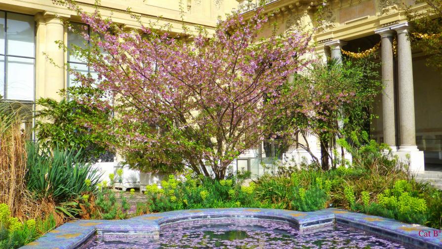 Au jardin du Petit Palais