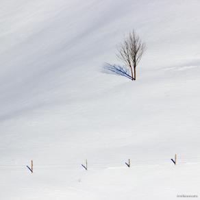 Monte Grappa