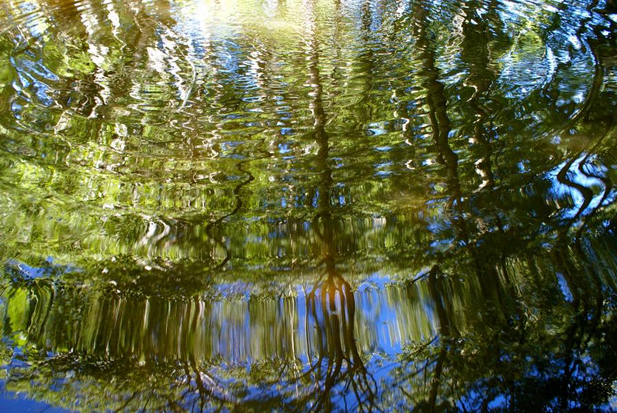 Water reflection