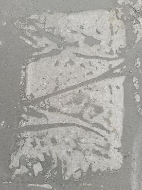 masterpiece of nature "patterned concrete, by rain"