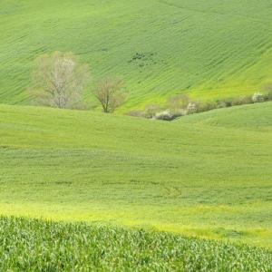 Italy. Basilicata & Campania. Dropouts and rediscovered