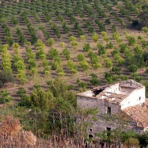 Italy. Calabria. Countryside