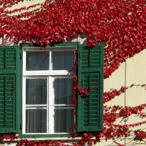 Italy. Trentino Alto Adige. Autumn colors